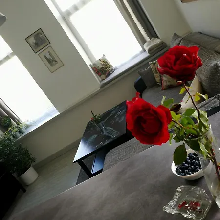 With Stained Glass Appartement Vilnius