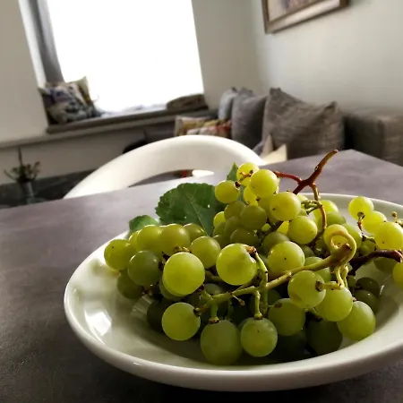 With Stained Glass Апартаменти Вільнюс